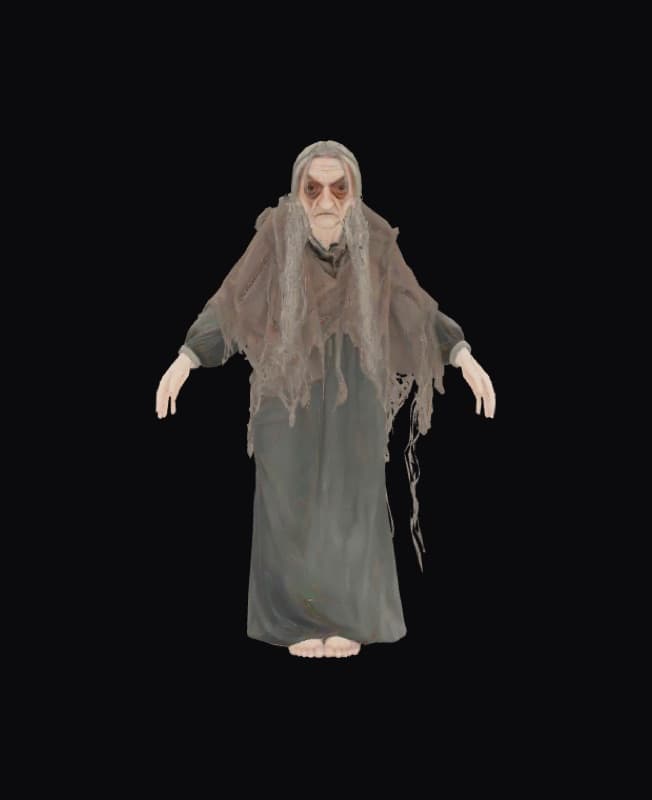 수집가 노파