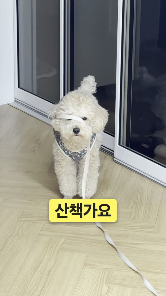 산책가요
