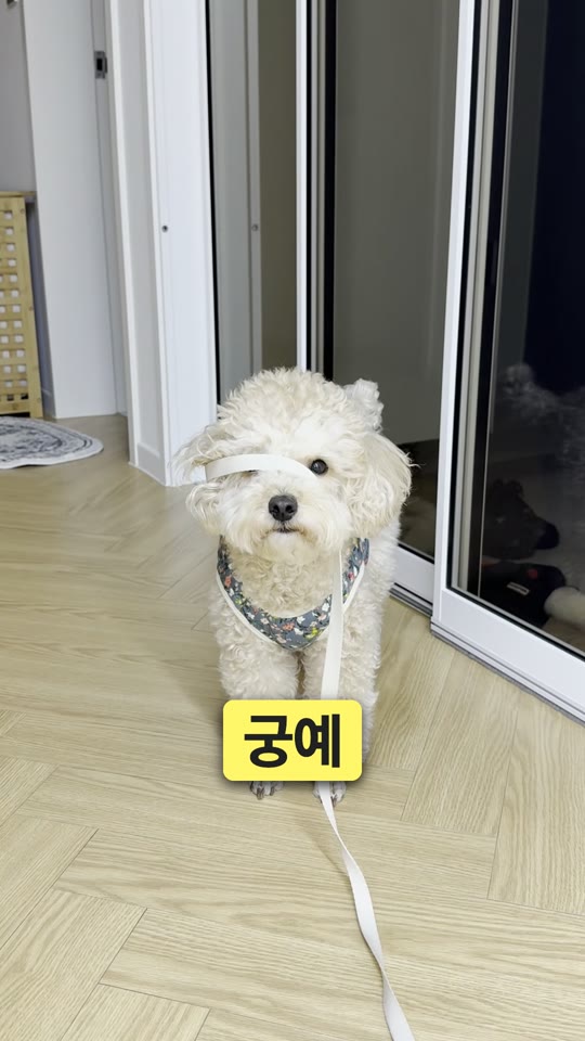 궁예