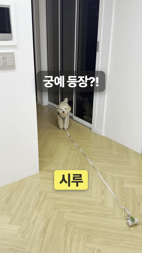 hook + 시루