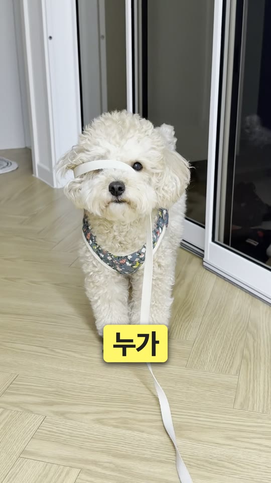 누가